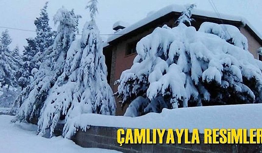 Çamlıyayla Resimleri